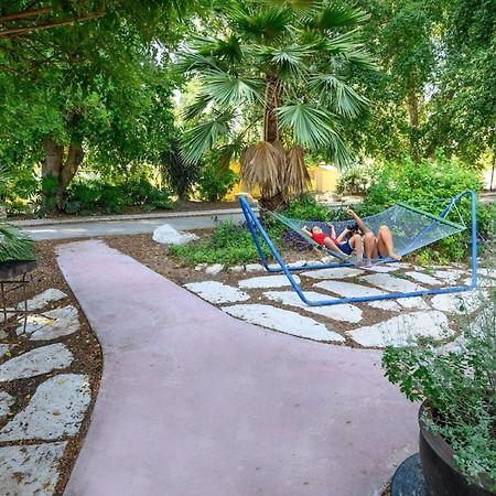 Jordan Valley Birding Lodge Kefar Ruppin Экстерьер фото