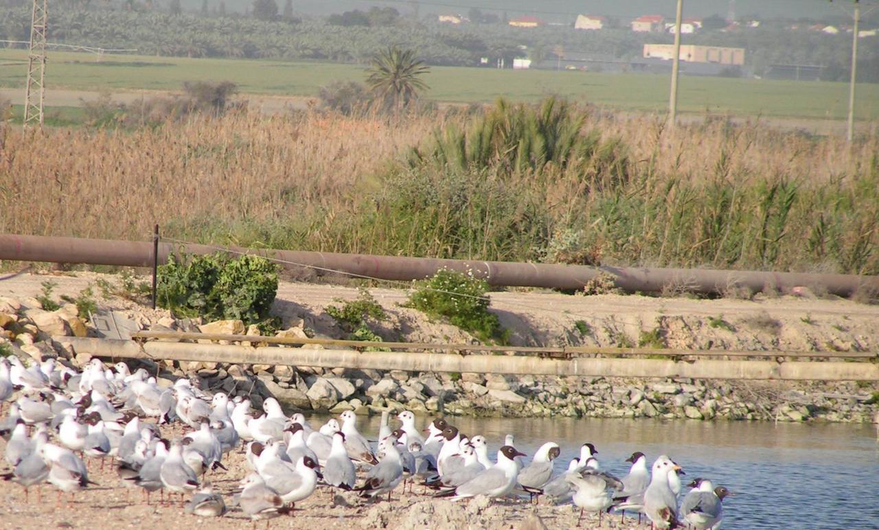 Jordan Valley Birding Lodge Kefar Ruppin Экстерьер фото